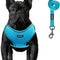 No Pull Dog Harness and Leash Set Reflective Step in Vest Dog Harness with Soft Padded Dog Harness Set for Small and Medium Dogs